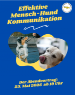 Effektive Mensch-Hund Kommunikation